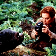 点击查看图片 侏罗纪公园2:失落的世界 The Lost World: Jurassic Park