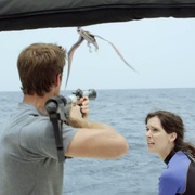 八爪狂鲨大战梭鱼翼龙 Sharktopus vs. Pteracuda