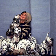 点击查看图片 102真狗 102 Dalmatians