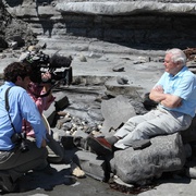 点击查看图片 飞行巨兽 Flying Monsters 3D with David Attenborough