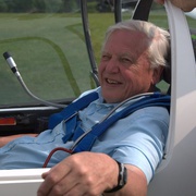 点击查看图片 飞行巨兽 Flying Monsters 3D with David Attenborough