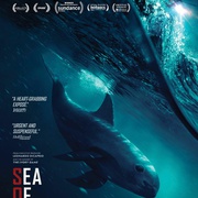 点击查看图片 暗海 Sea of Shadows