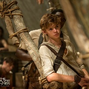 点击查看图片 移动迷宫 The Maze Runner