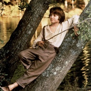 点击查看图片 哈克·贝利·芬历险记 The Adventures of Huck Finn