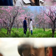 毛骗 第二季