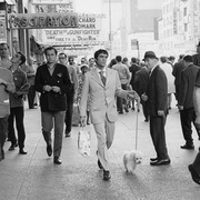 点击查看图片 乐队男孩 The Boys in the Band
