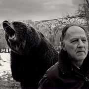 灰熊人 Grizzly Man
