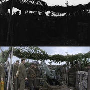 他们已不再变老 They Shall Not Grow Old
