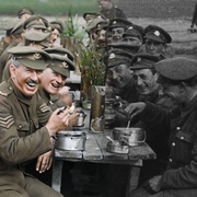 他们已不再变老 They Shall Not Grow Old