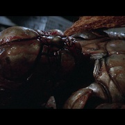 点击查看图片 魔种 Demon Seed