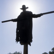 点击查看图片 惊心食人族2 Jeepers Creepers 2