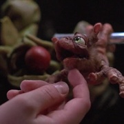 领航员 Flight of the Navigator