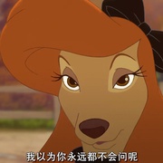 点击查看图片 狐狸与猎狗2:永远的朋友 The Fox and the Hound 2
