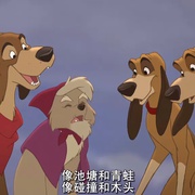 点击查看图片 狐狸与猎狗2:永远的朋友 The Fox and the Hound 2