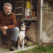 点击查看图片 追捕野蛮人 Hunt for the Wilderpeople