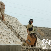 野马分鬃