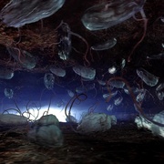 点击查看图片 深海底火山 Volcanoes of the Deep Sea