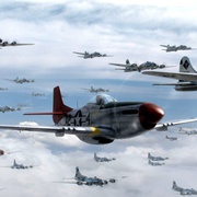 点击查看图片 红色机尾 Red Tails