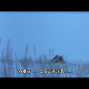 雪行者 The Snow Walker
