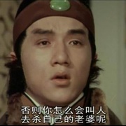 风雨双流星 風雨雙流星