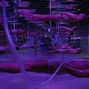 点击查看图片 昏迷 Coma