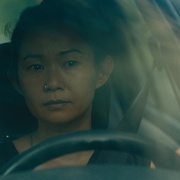 车道 Driveways