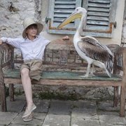 点击查看图片 德雷尔一家 第一季 The Durrells Season 1
