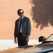 点击查看图片 夜行者 Nightcrawler