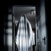 点击查看图片 月光光心慌慌 Halloween