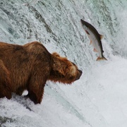 点击查看图片 北美国家公园全纪录 The National Parks: America's Best Idea