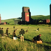 天堂之日 Days of Heaven
