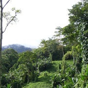 苦战科科达 Kokoda