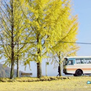 秘密 비밀