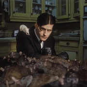 点击查看图片 驭鼠怪人 Willard