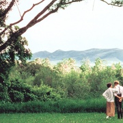走出非洲 Out of Africa