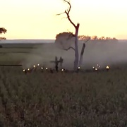 玉米田的小孩 Children of the Corn