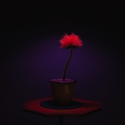 小小乔 Little Joe
