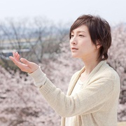 点击查看图片 樱,重逢的加奈子 桜、ふたたびの加奈子