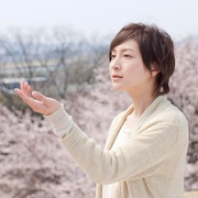 点击查看图片 樱,重逢的加奈子 桜、ふたたびの加奈子