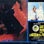 眼球 Gatti rossi in un labirinto di vetro