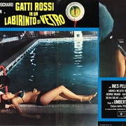 眼球 Gatti rossi in un labirinto di vetro