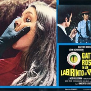眼球 Gatti rossi in un labirinto di vetro
