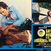 眼球 Gatti rossi in un labirinto di vetro