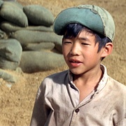 绿色贝雷帽 The Green Berets