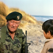 绿色贝雷帽 The Green Berets