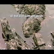 点击查看图片 宗教的荒谬 Religulous