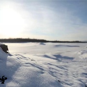 点击查看图片 沉默的雪