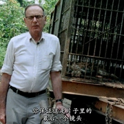 来自昏暗国度的回声 Echos aus einem düstern Reich