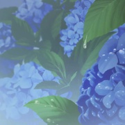 点击查看图片 悠悠式 ゆゆ式