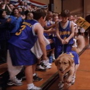 点击查看图片 飞狗巴迪 Air Bud